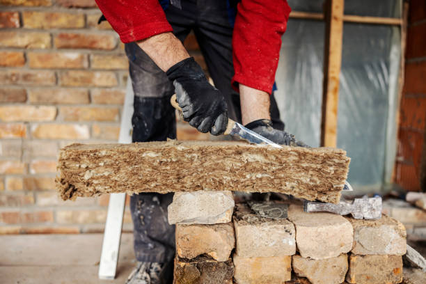 Best Home Insulation Services  in New Albany, MS